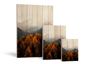 Foto op houten planken staande formaten