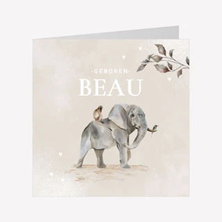 Geboortekaartjes zelf ontwerpen