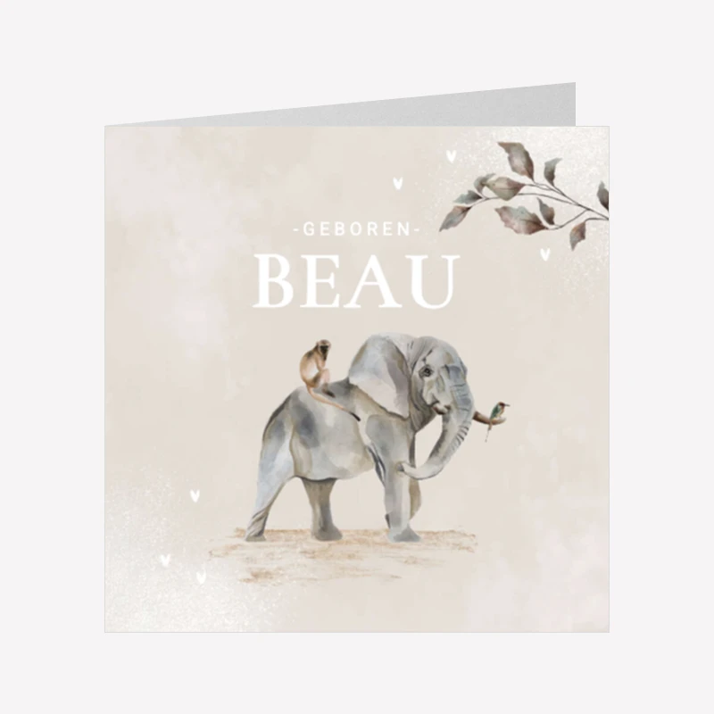 Geboortekaartjes zelf ontwerpen