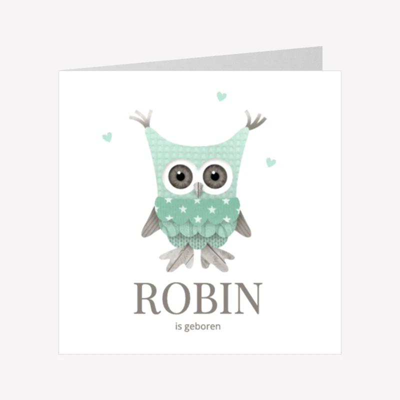 Geboortekaartje Uil Mint 14x14 Dubbel