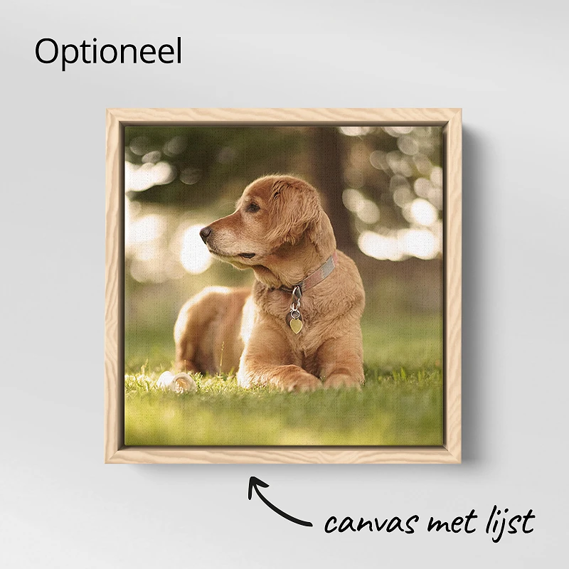 Canvas met lijst 60x60 cm vierkant
