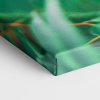 canvas foto maken en bestellen