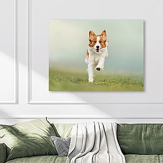 Foto op dibond personaliseren