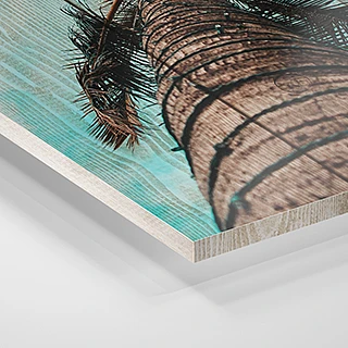 houten plank met foto