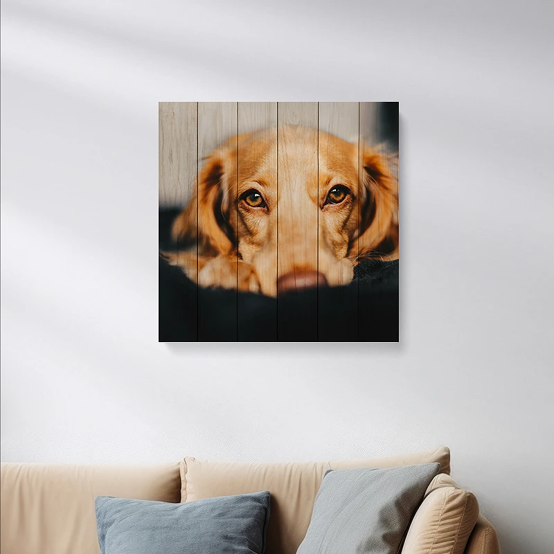 Foto op Houten planken 60x60 cm