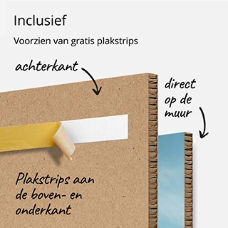 40x40 Foto Karton plakstrips zonder boren ophangen