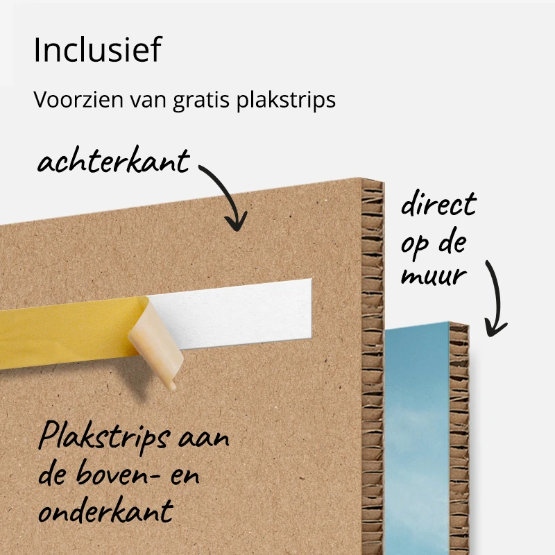 40x40 Foto Karton plakstrips zonder boren ophangen