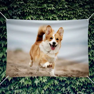 Eigen foto op tuinposter maken