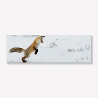 Foto Canvas 90x30