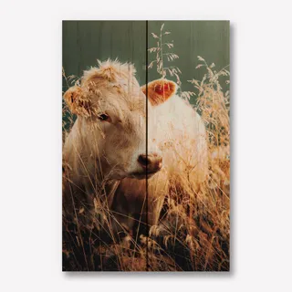 Foto op Hout 20x30