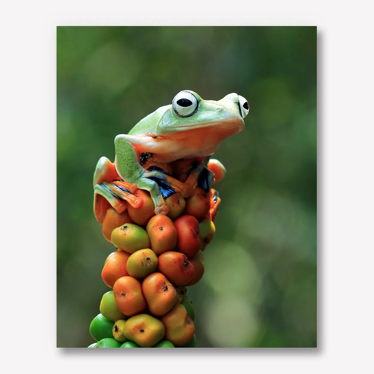 Foto op karton 50x60
