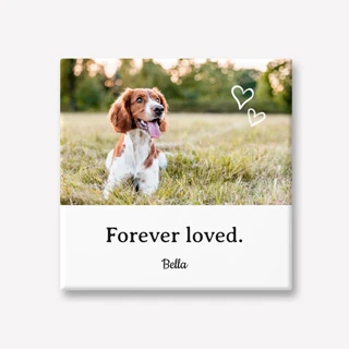 Tegeltje maken met foto Huisdier naam