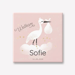 Geboorte tegeltje met ooievaar als kraamcadeau