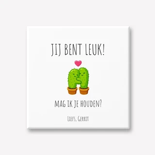 Jij bent leuk cactus tegeltje