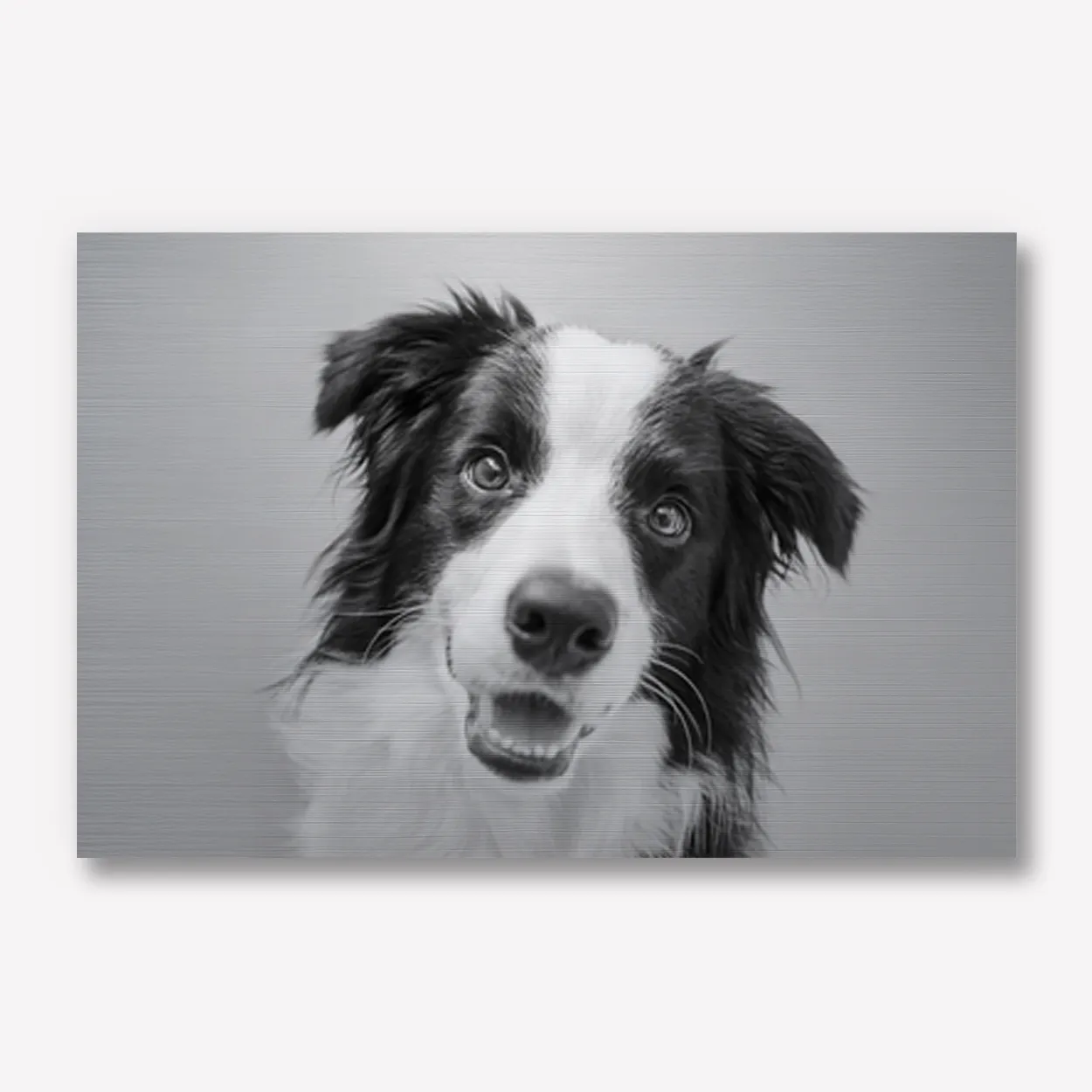 Foto op aluminium zwart wit 60x40